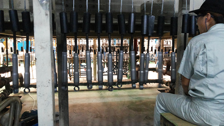 ������ϴ����