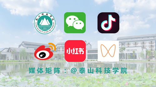 泰山科技學院星鑫校友圈入選2024山東教育融媒TOP100，展現校友聯結新力量